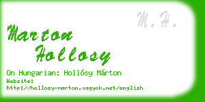 marton hollosy business card